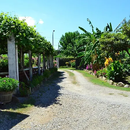Agriturismo Il Maresciallo-2
