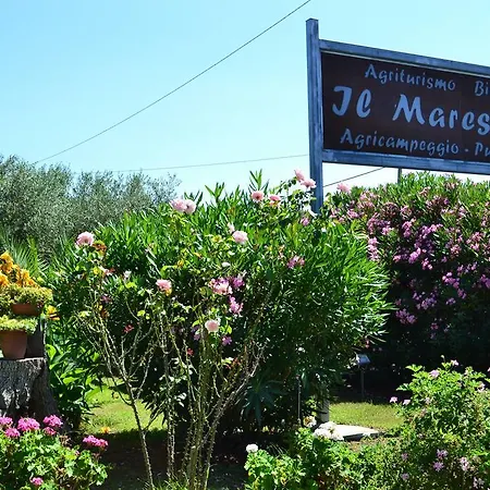 Agriturismo Il Maresciallo-3