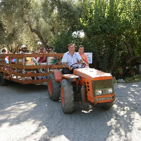 Agriturismo Il Maresciallo-3